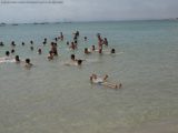 My Gallery (26/205)